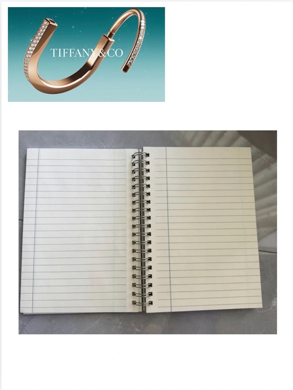 TIFFANY & CO. Cream Spiral Notebook w/Silver Logo, NWOT